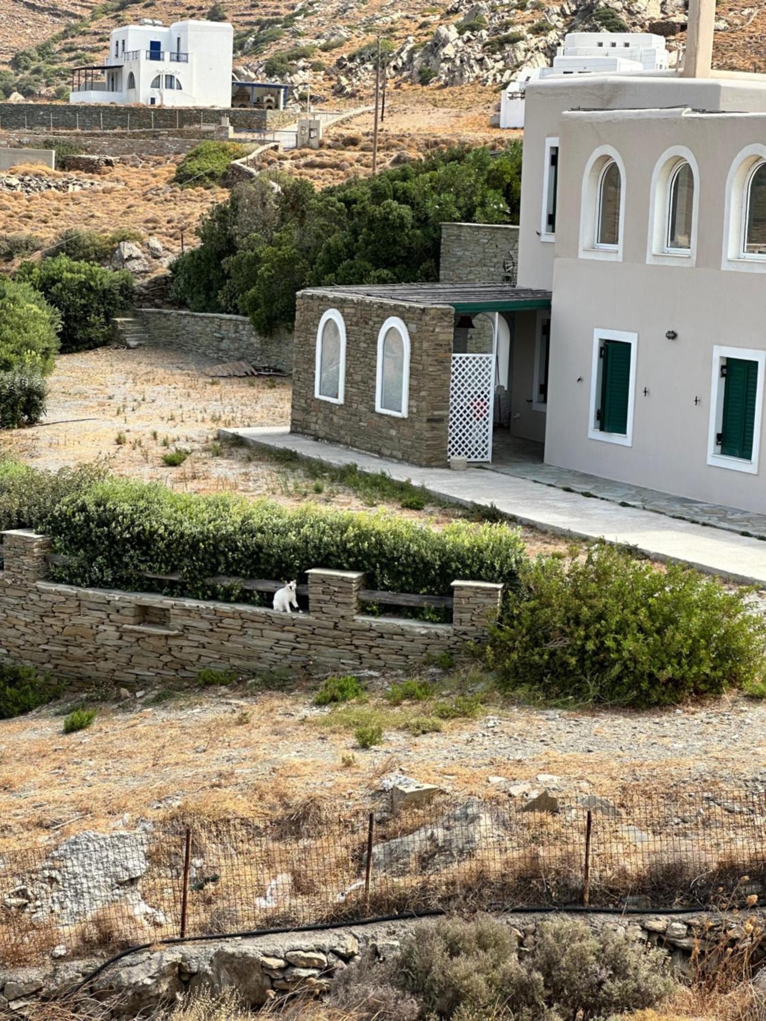 Andros Eco Home Gavrio Exterior foto